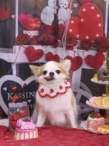 20250223くうくん